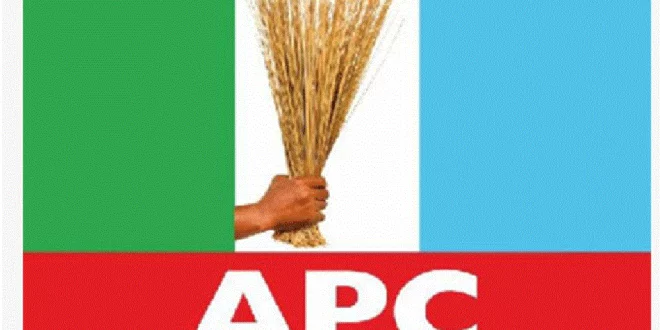 apc flag logo