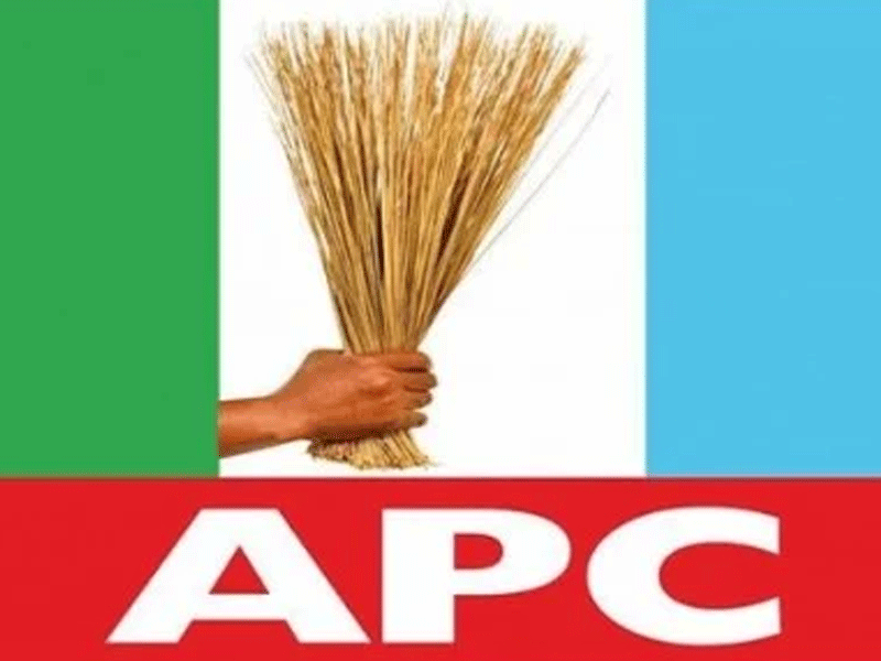 APC logo