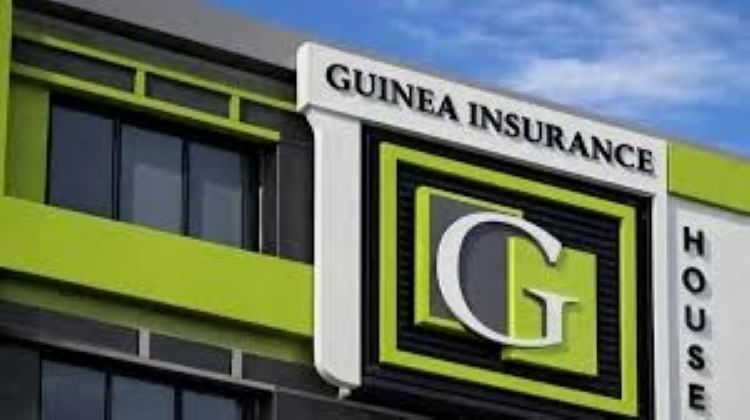 SEC clears Guinea Insurance N5.8bn capital raise