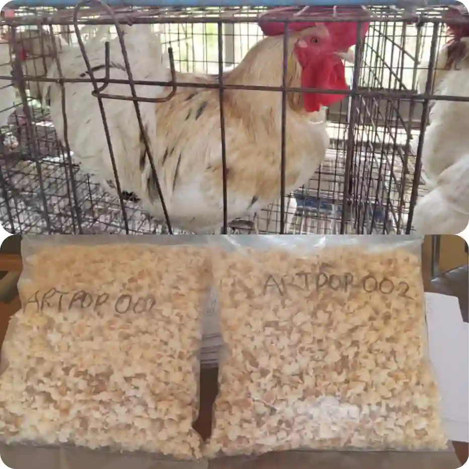 PicsArt 03 28 05.45.19.webp.webp