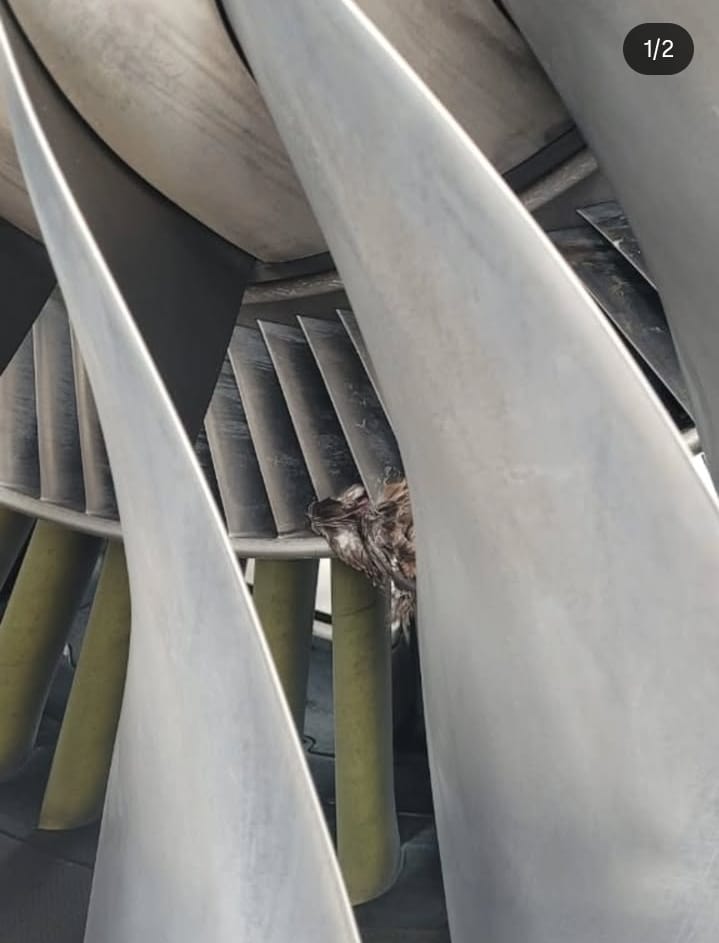 WhatsApp Image 2026 03 29 at 5.45.30 PM