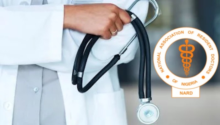 1775573109 20260407 152801