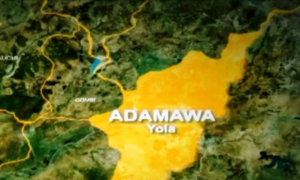 1777216217 adamawa