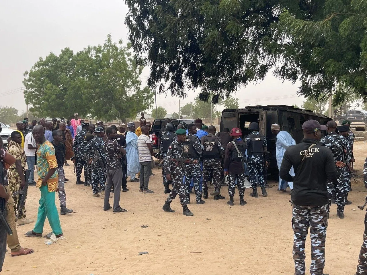 9d610229 8f65 42ec 931e ed2c203f75ab