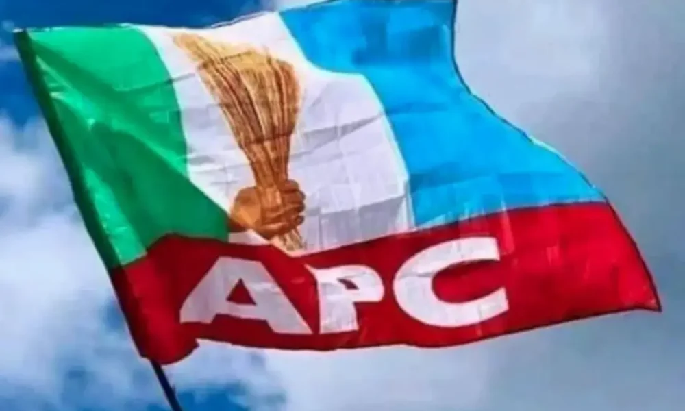 APC Flag1 1