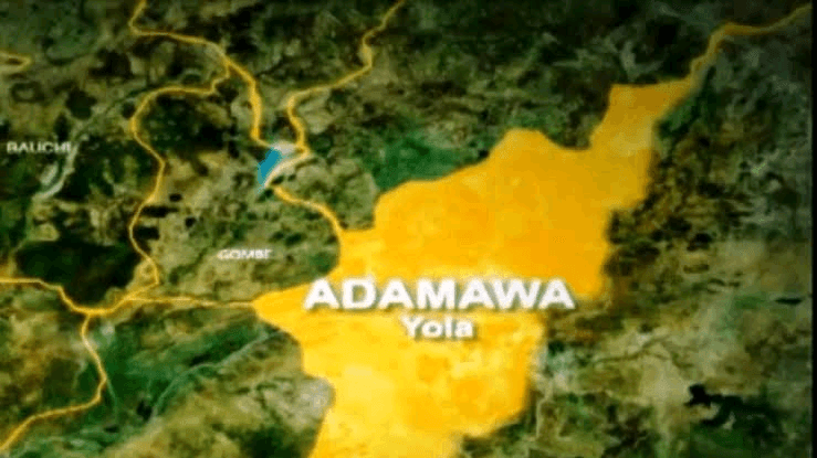 Adamawa State map