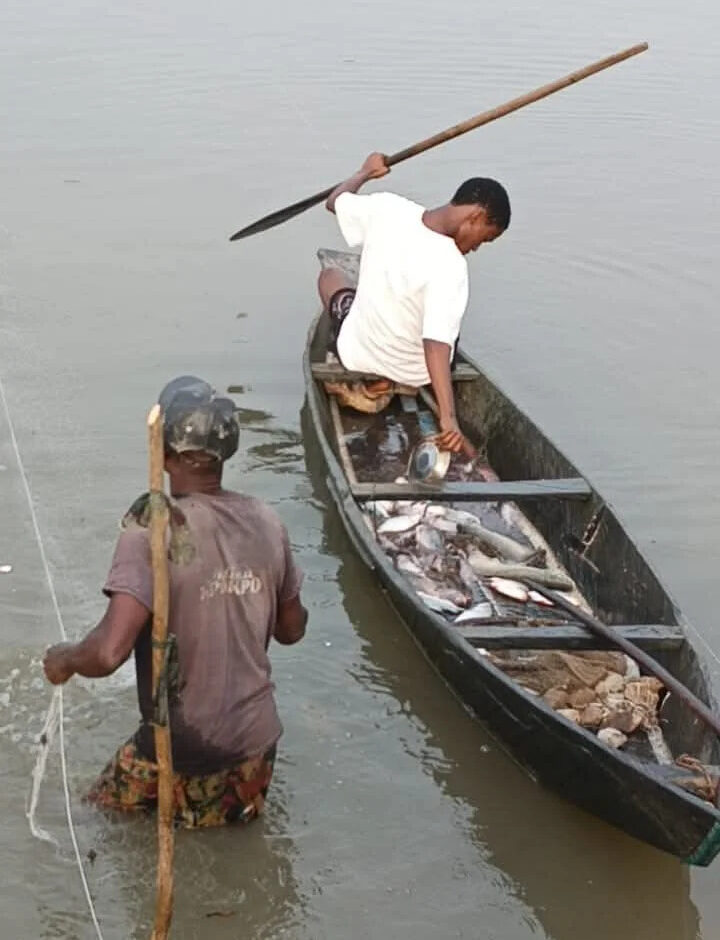 Fisherman at Iwalaa fishing lake in Anambra displays his fresh harvest before reporters on a tour of