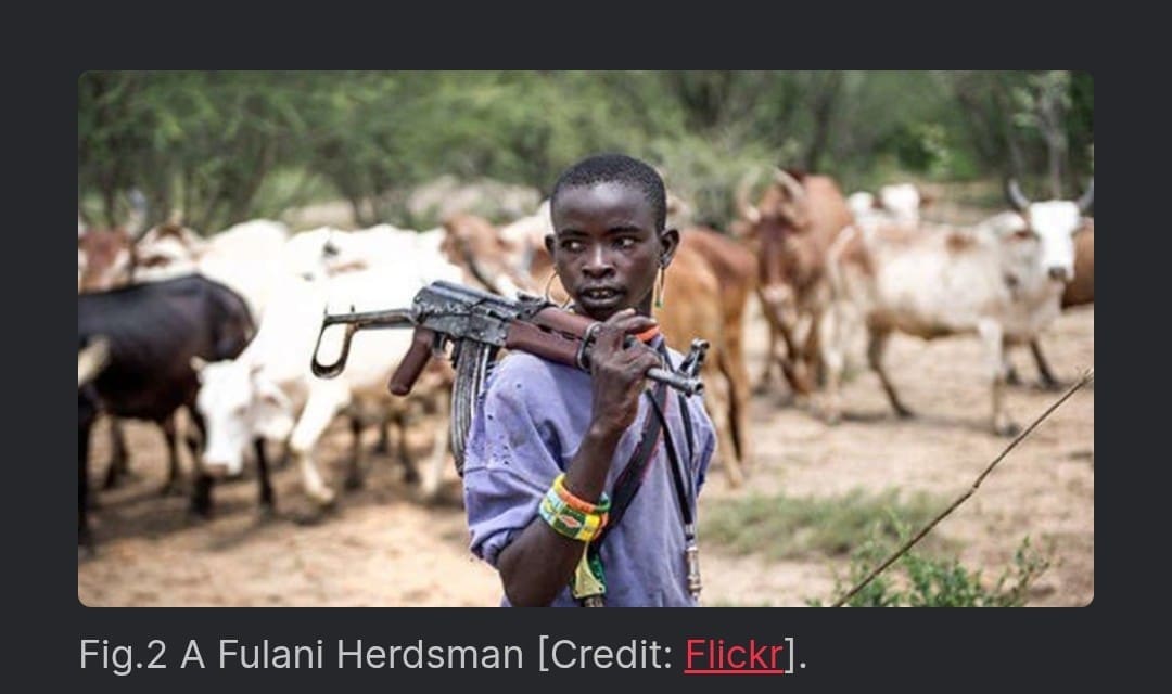 FulaniHerdsman