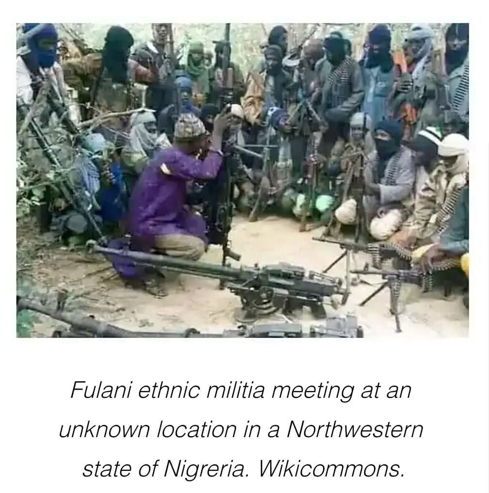 FulaniMilitia