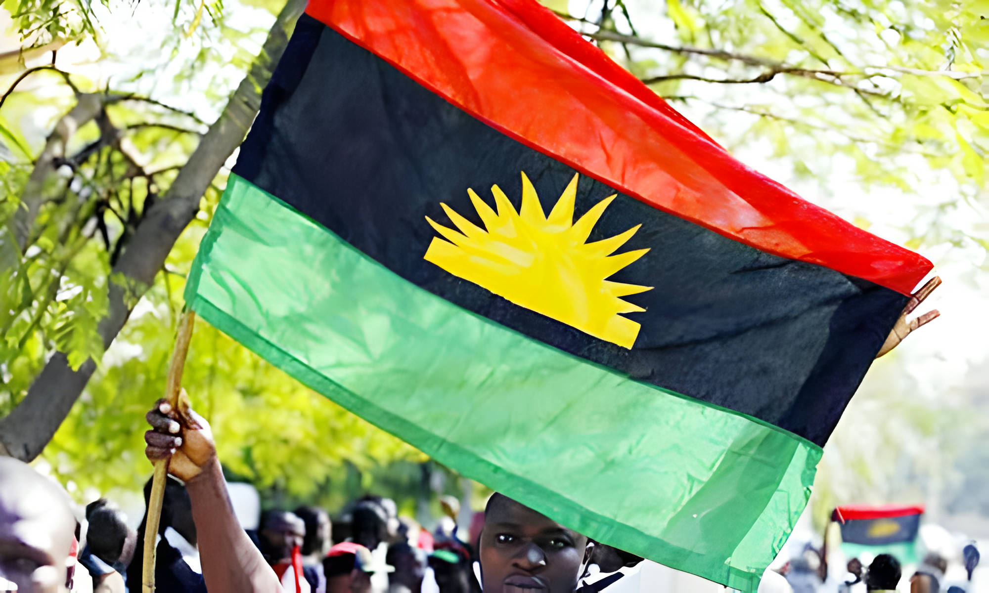 IPOB flag