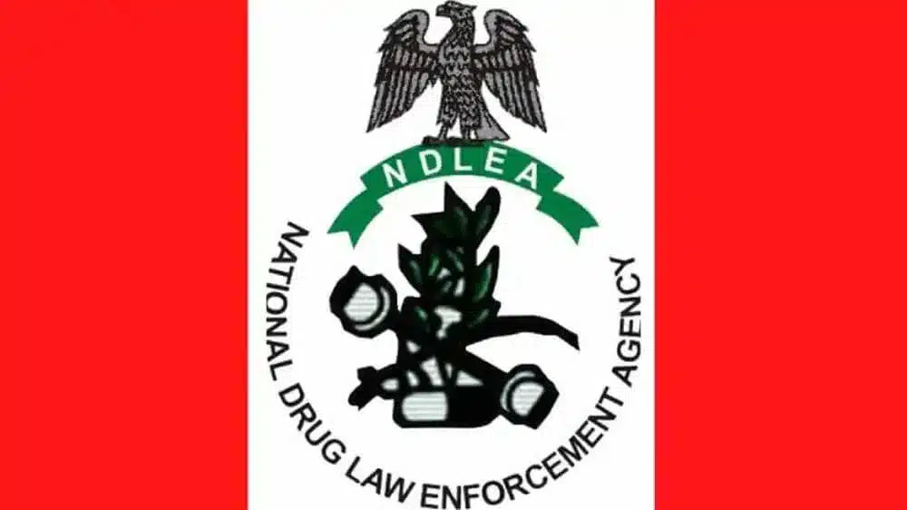 NDLEA 1 1.png