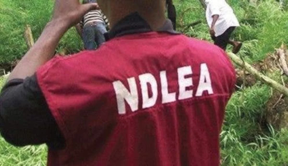 NDLEA d1XbVL