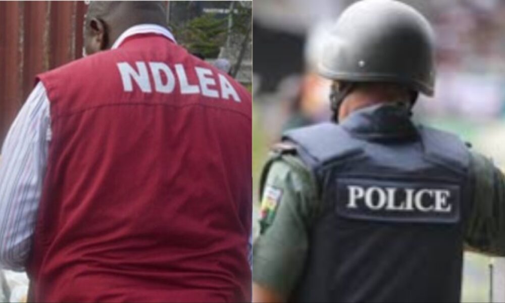 NDLEA police