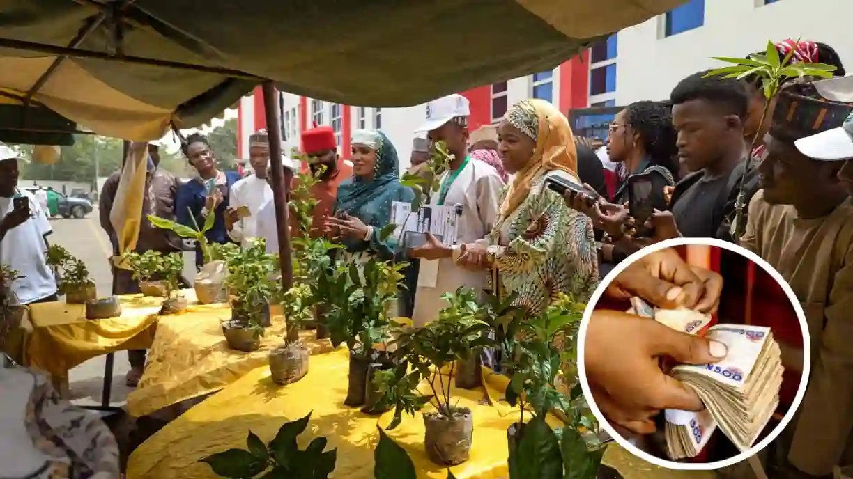 PicsArt 04 15 12.52.50