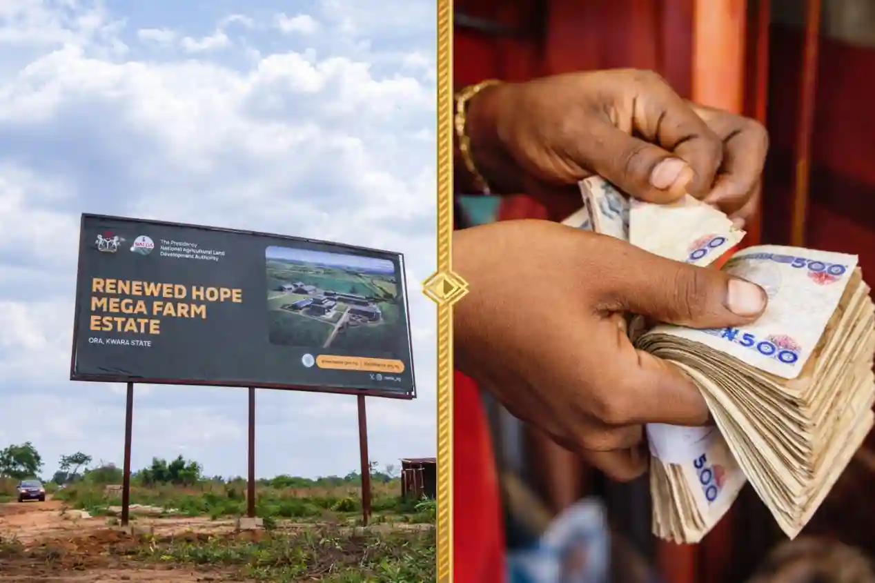 PicsArt 04 19 03.05.30