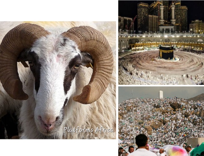 Screenshot 20260420 094609