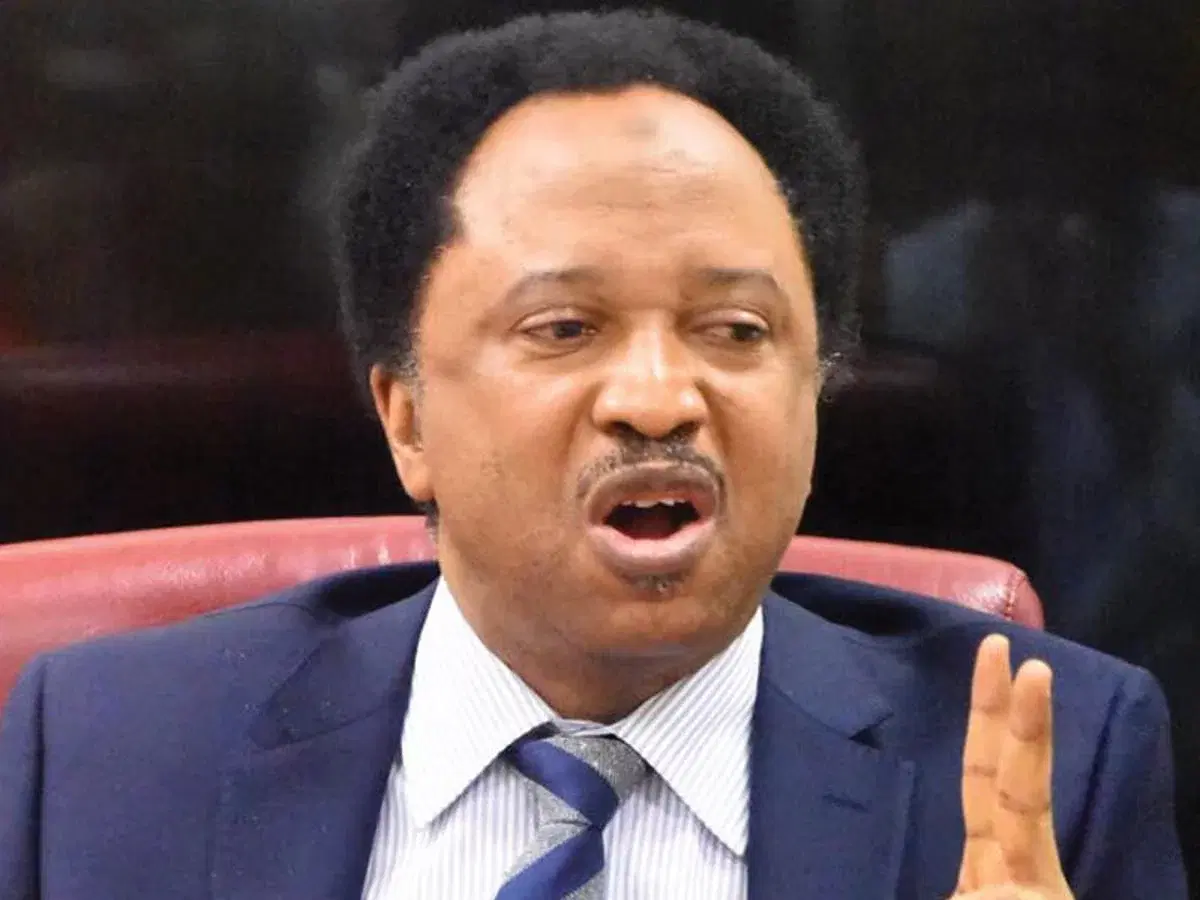 Shehusani.webp