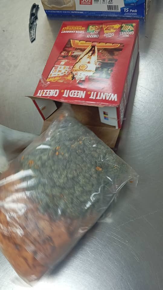 WhatsApp Image 2026 04 19 at 9.25.08 AM