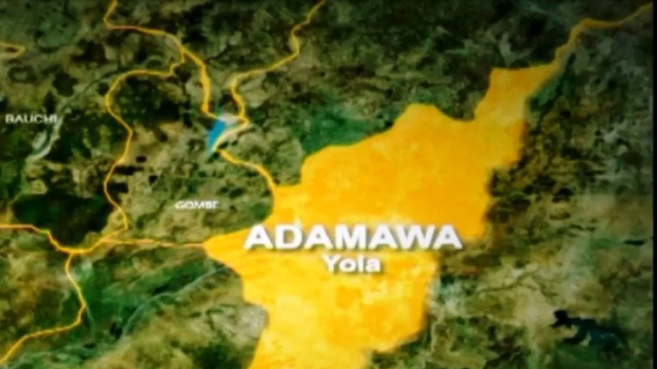 adamawa Rd9pWH