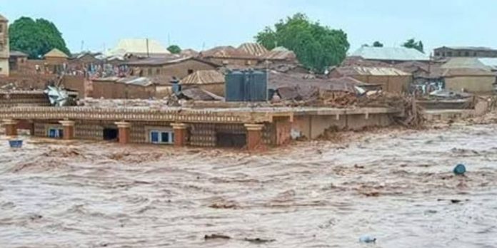 niger flood death toll hits 115