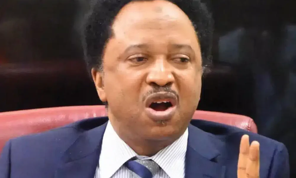 shehu sani 1