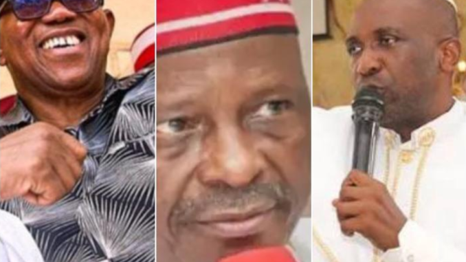 “I Told You Obi Will Leave ADC. “Let Him And Kwankwaso Go Anywhere, They Can’t Remove Tinubu-Ayodele