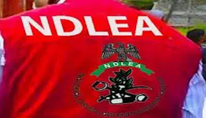 1776153612 NDLEA