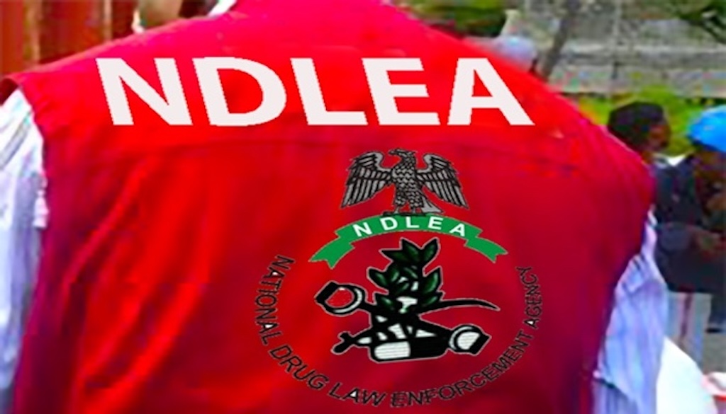 1777995615 NDLEA