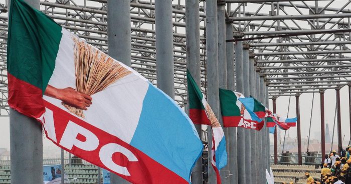 Voting Ends in Lagos APC House of Representatives Primaries