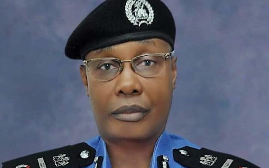 Acting IGP Usman Alkali Baba e1777727100502