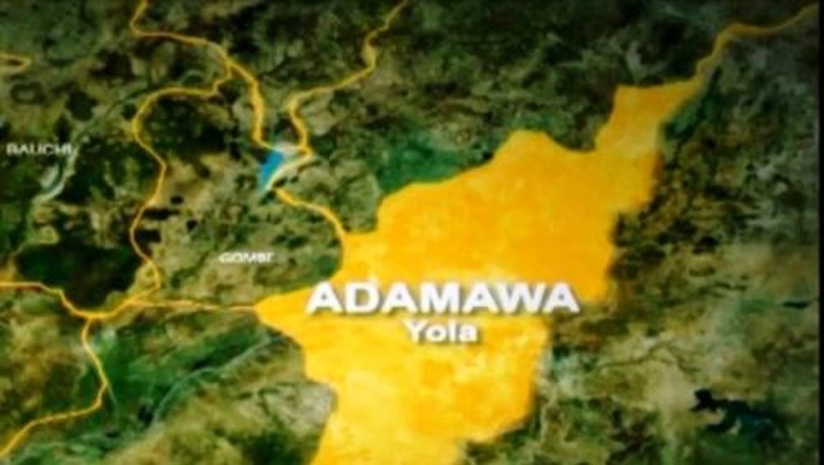 Adamawa APC Rep aspirants reject consensus, demand primaries