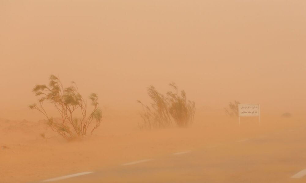 Dust Haze 1