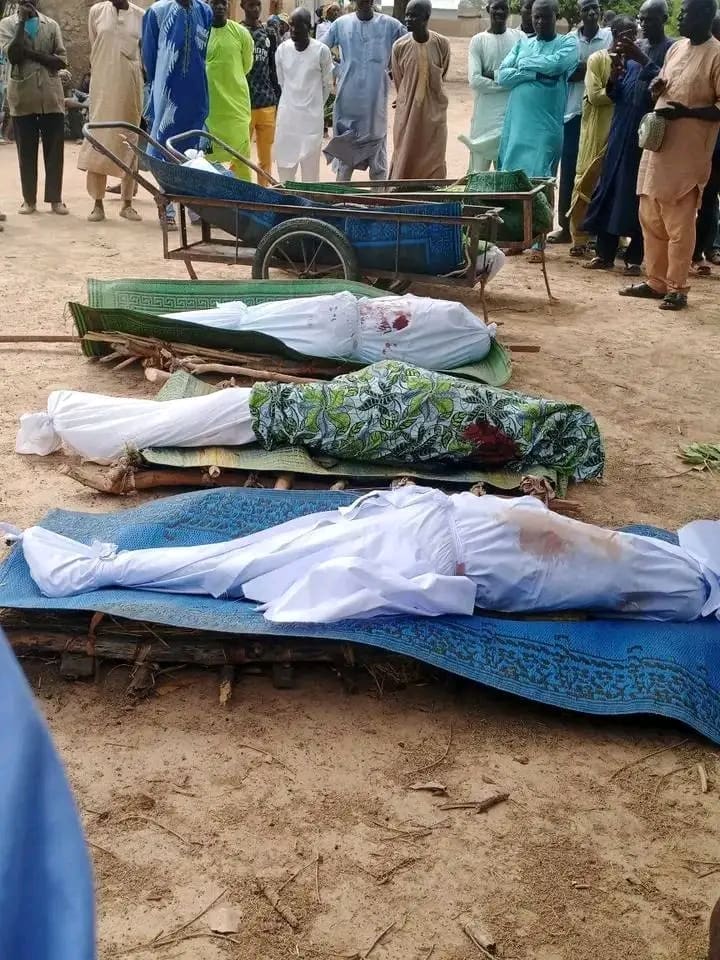 40 Schoolchildren Abducted as Boko Haram Kills Eight in Borno