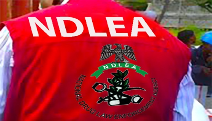NDLEA 1 3