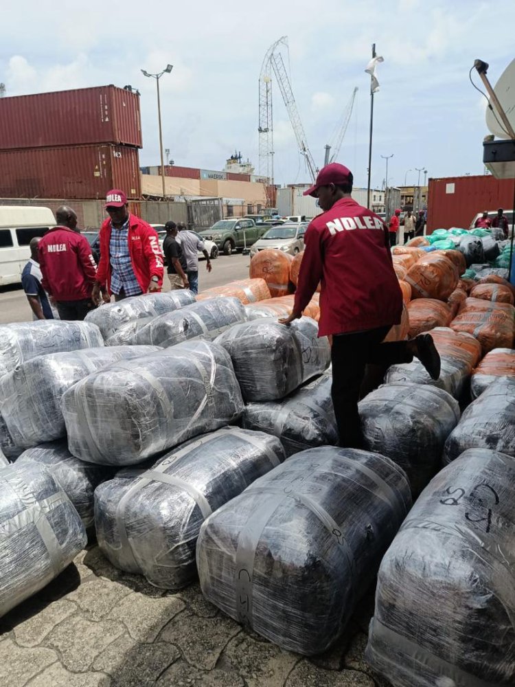 NDLEA Intercepts ₦104bn Worth Of Canadian Loud At Lagos Port