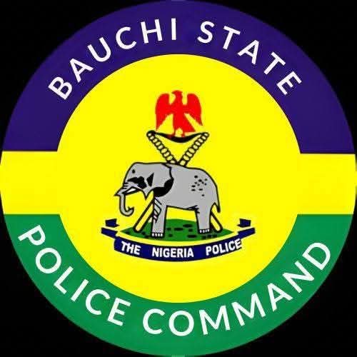 Police arrest 60 year old man for defling 9 year old girl in Bauchi