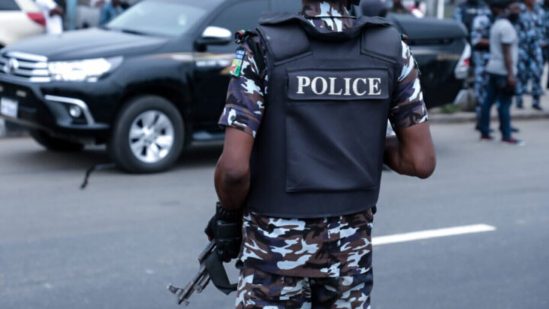 APC Primaries: Police arrest 10 as hoodlums attack voters in Lagos
