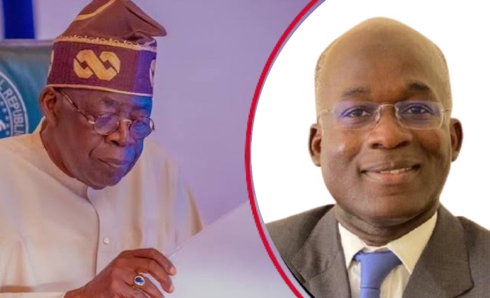 Tinubu Appoints Lanre Babalola As Power Adviser Launches Taskforce To Drive Sector Reset