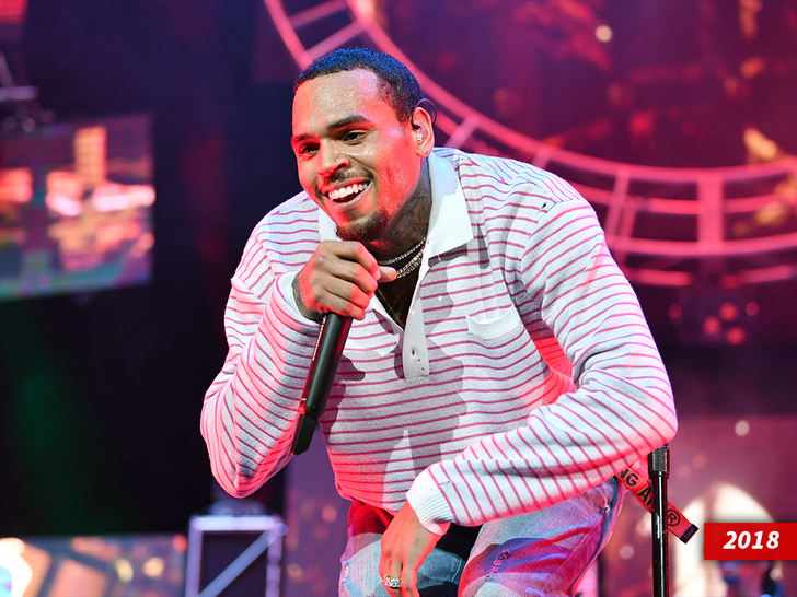 Trespasser arrested at singer Chris Browns house after trying to