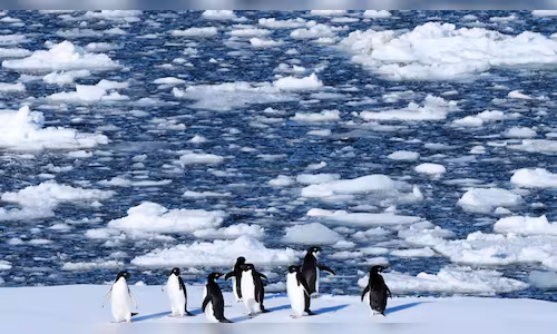 antartica 2026 05 91e2bc250865c7b8b9f38a17f436c3c8