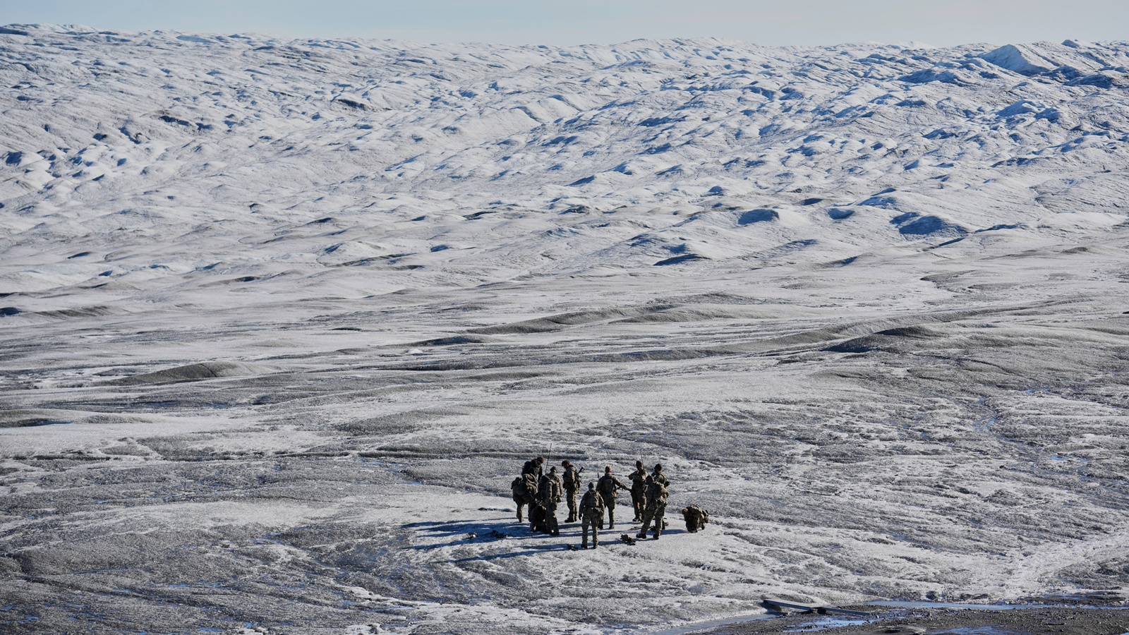 arctic