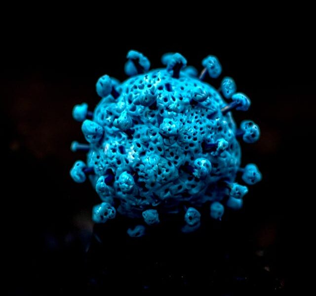 covid 19 omicron corona virus covid 19 microbiology royalty free image 1765491041.pjpeg
