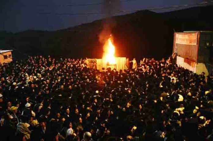 downloaded image 4