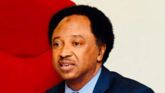 kaduna apc stakeholders endorse shehu sani for senate ahead of 2027 primaries