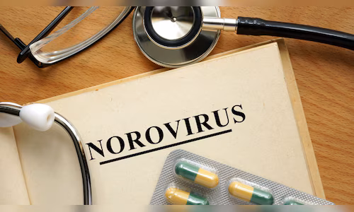 norovirus 2026 05 b56e9dcb399c2d063cdd54bf67bbf5c0