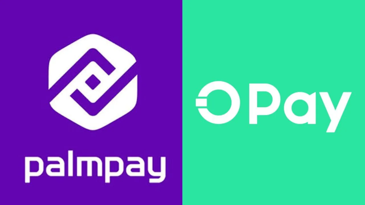 opay palmpay