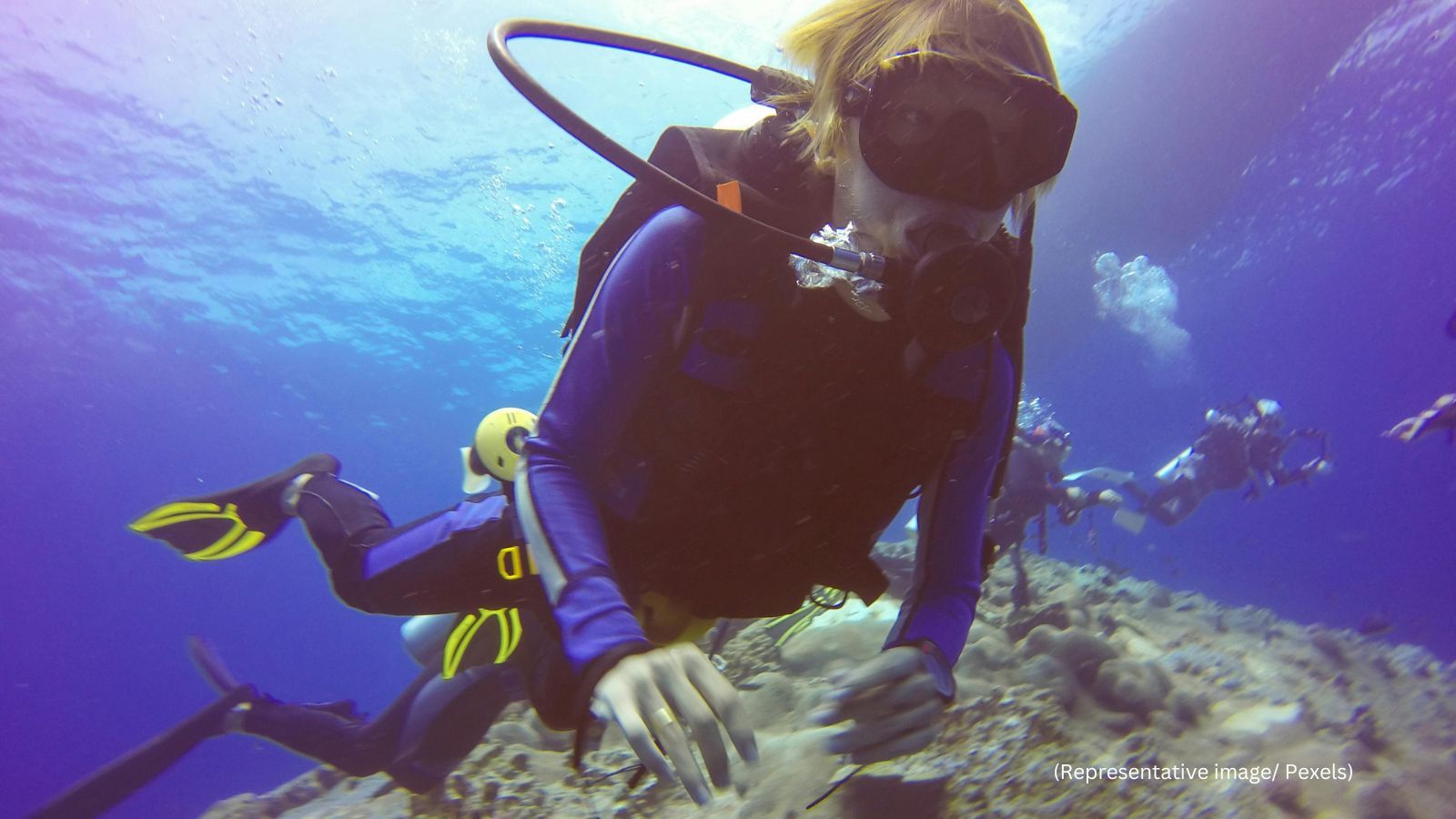scuba diver