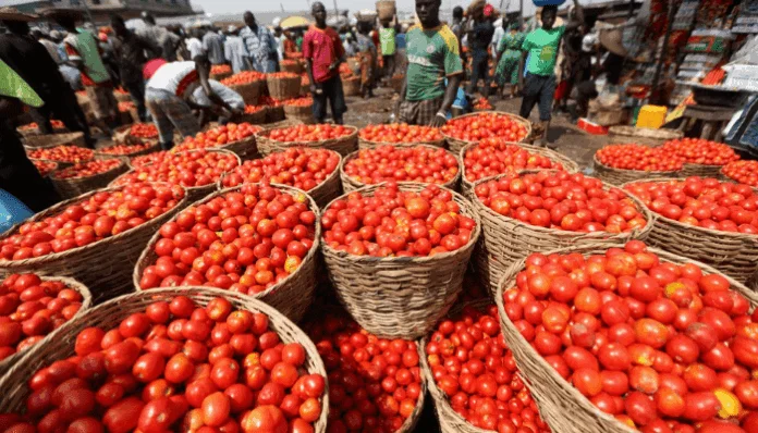 tomato prices soar on supply shortage rising transport costs