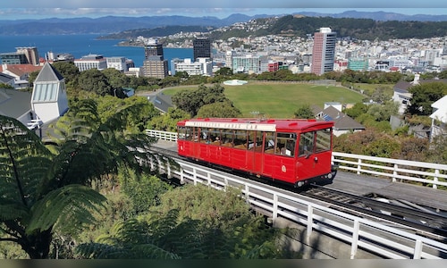 wellington 1116880 1280 2025 12 1a2df23c01f3d18b7ee3a560d359cb93