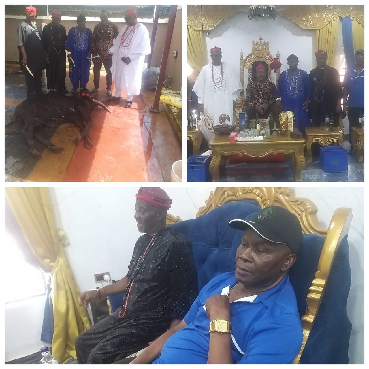 Council Of Ndieze Inducts Eze Okparaku, Reaffirms BOT Recognition & Igbo Unity In Lagos